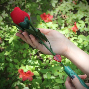 Recordable Rose - $14 with Free Shipping